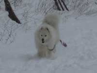 �y�������Ȍ�