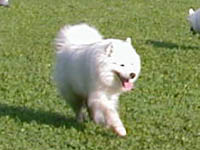 ��