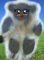 �_�C�A�i�R�A��