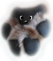�͂ȃv�j